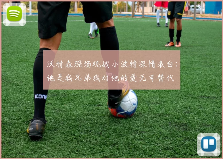 沃特森现场观战小波特深情表白：他是我兄弟我对他的爱无可替代