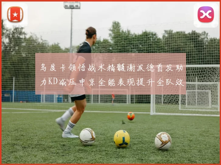 乌度卡领悟战术精髓谢泼德首发助力KD减压申京全能表现提升全队效率