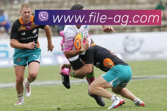 数据防护可视化